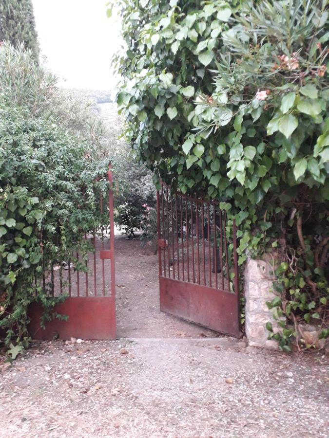 Gasthaus La Palombaia Spoleto Exterior foto