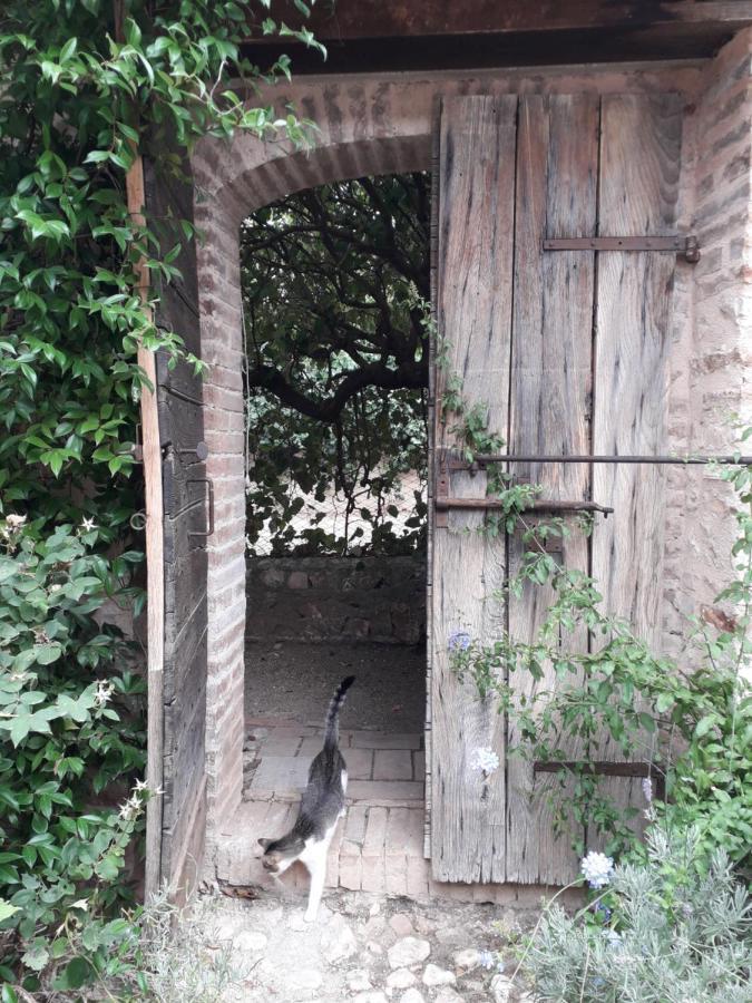 Gasthaus La Palombaia Spoleto Exterior foto